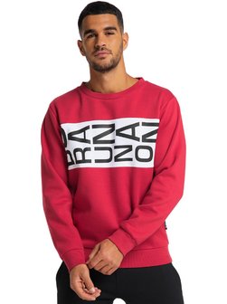 Herren Sweater  -  RICHARDSON