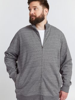 Herren Sweatjacke - BHLenner Big & Tall