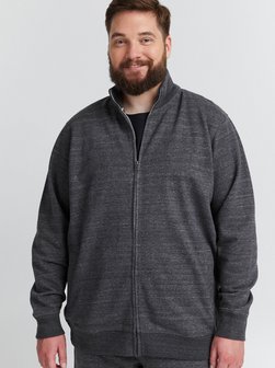 Herren Sweatjacke - BHLenner Big & Tall