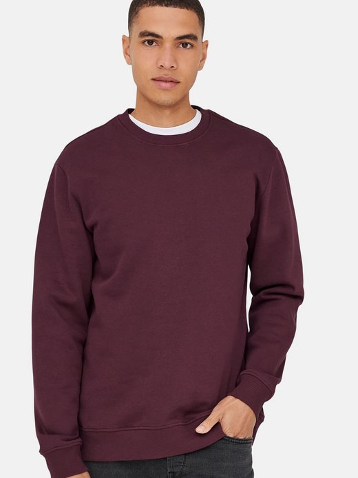 Herren Sweatshirt - 2er Pack Connor