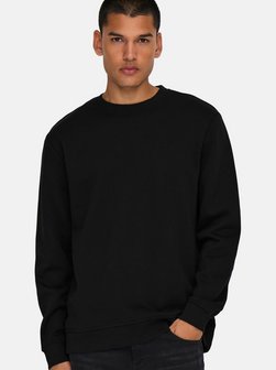 Herren Sweatshirt - 2er Pack Connor