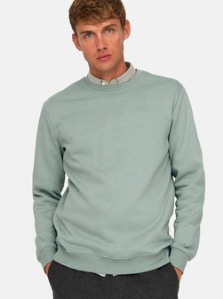 Herren Sweatshirt - 2er Pack Connor
