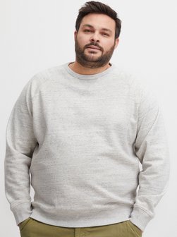 Herren Sweatshirt - BHAlton Big & Tall