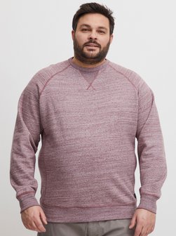 Herren Sweatshirt - BHAlton Big & Tall