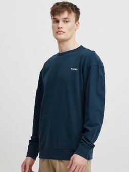 Herren Sweatshirt - BHSweatshirt