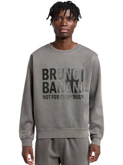 Herren Sweatshirt  -  Birdwhistle