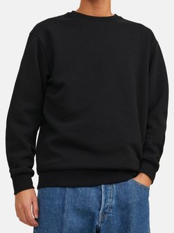 Herren Sweatshirt Bradley im 2er-Pack