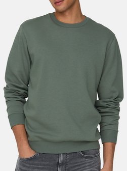 Herren Sweatshirt Ceres im 2er-Pack