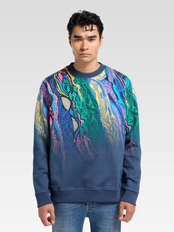 Herren Sweatshirt  -  Di Spigno