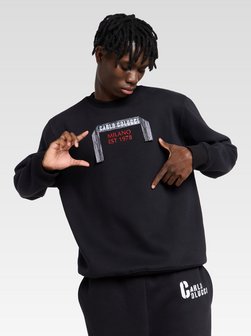 Herren Sweatshirt  -  Erba