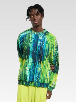 Herren Sweatshirt  -  Fauster