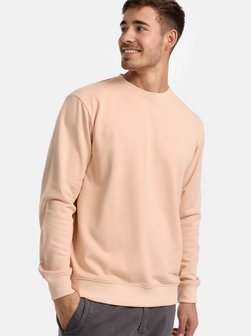 Herren Sweatshirt - Holt