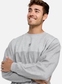 Herren Sweatshirt - INBridge