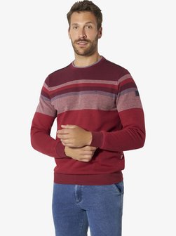 Herren Sweatshirt - MELDIN