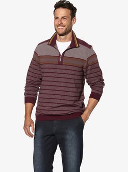 Herren Sweatshirt - REMOSOTZI