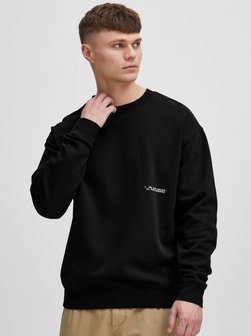 Herren Sweatshirt - SDGalileo