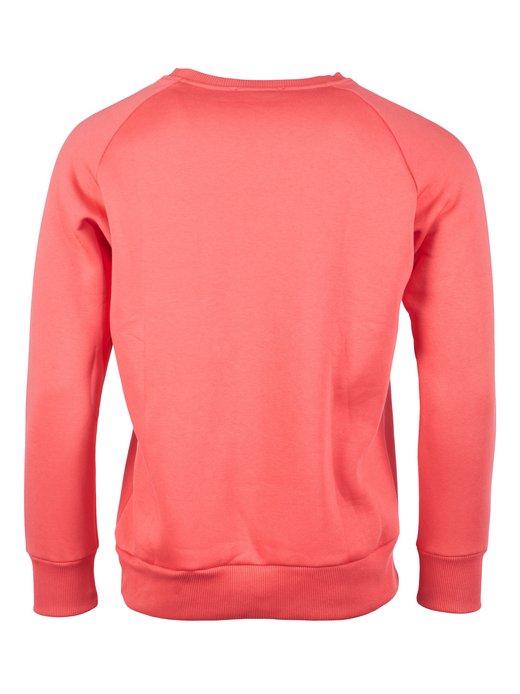 Herren Sweatshirt
