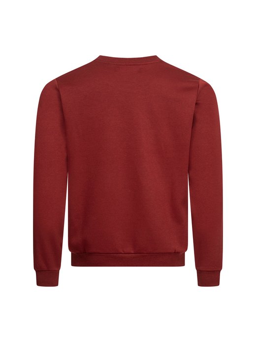 Herren Sweatshirt