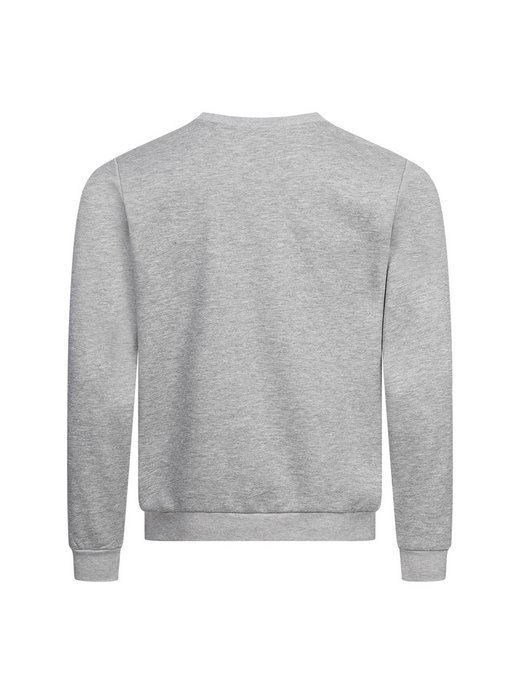 Herren Sweatshirt