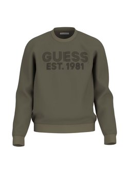 Artikelbild Herren Sweatshirt von GUESS in grün bedruckt
