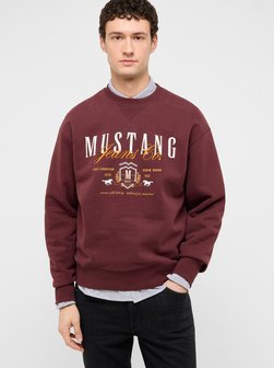 Herren Sweatshirt