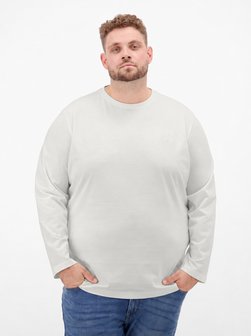 Herren Sweatshirt