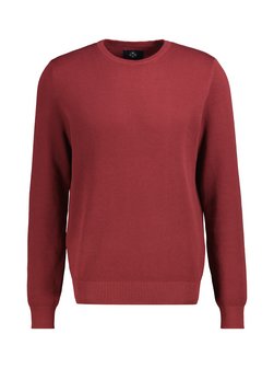 Herren Sweatshirt
