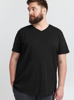 Herren T-Shirt - SDBedo Big & Tall