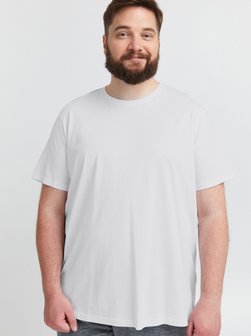 Herren T-Shirt - SDBedonno Big & Tall