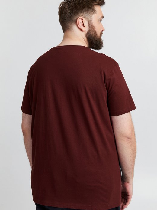 Herren T-Shirt - SDMingo Big & Tall