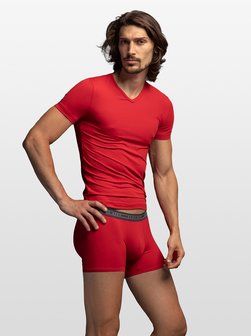 Artikelbild Herren T-Shirt  -  V-Neck RED 2059 von Olaf Benz in rot uni