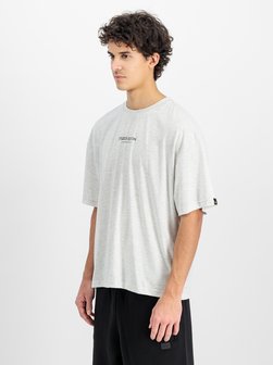 Artikelbild Herren T-Shirt von Alpha Industries in grau bedruckt