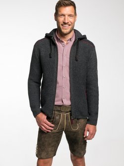 Artikelbild Herren Trachtenjacke - FCB - Erben von Spieth & Wenksy in grau uni