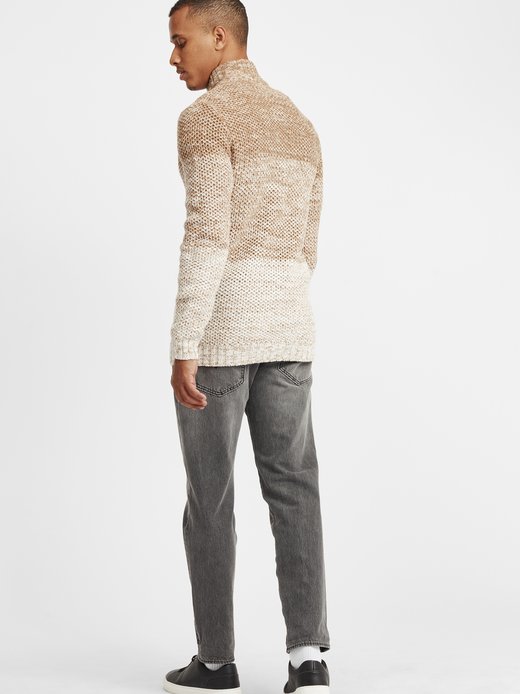 Herren Troyer - SDAfton