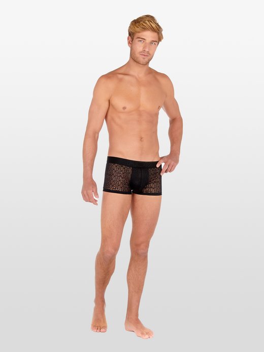 Herren Trunk  -  Love