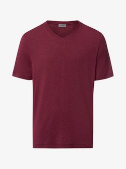 Herren V-Shirt  -  Casuals