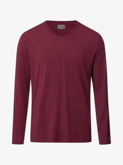 Herren V-Shirt  -  Casuals