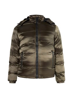 Herren Wattierte Steppjacke