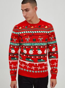 Herren Weihnachtspullover - PRRuben