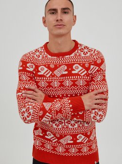 Herren Weihnachtspullover - PRUwe