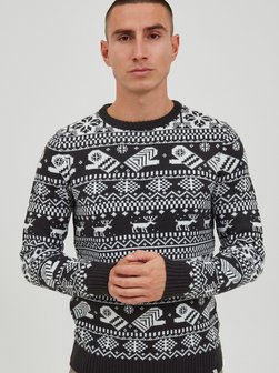 Herren Weihnachtspullover - PRUwe