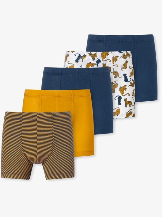 Jungen Boxer  -  95/5