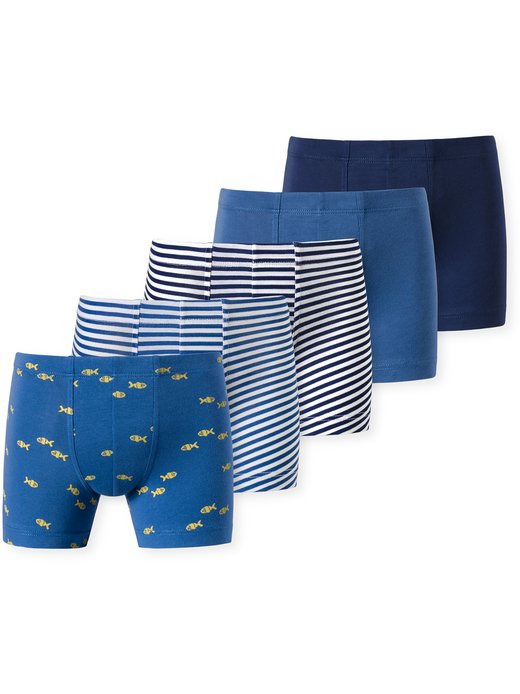 Jungen Boxer  -  95/5