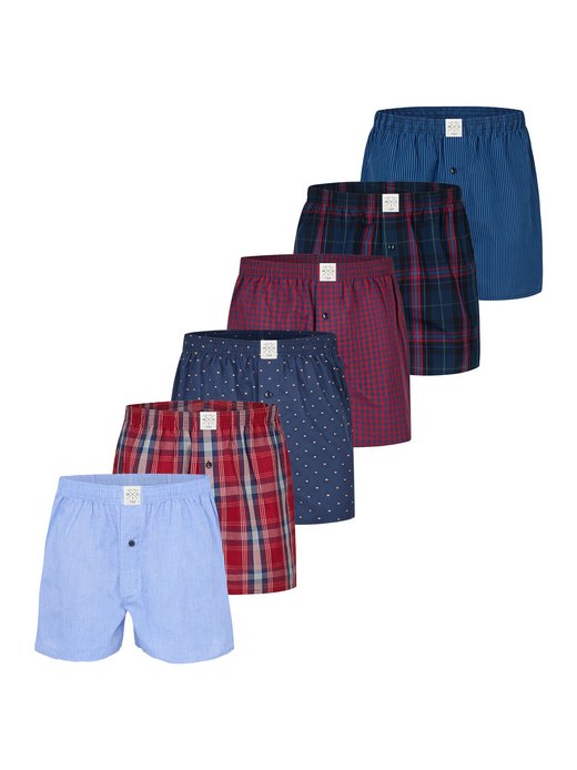 Jungen Boxer  -  Classics