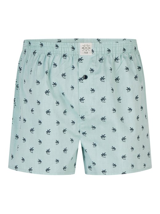 Jungen Boxer  -  Classics
