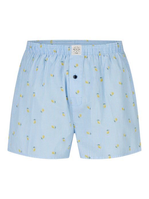 Jungen Boxer  -  Classics