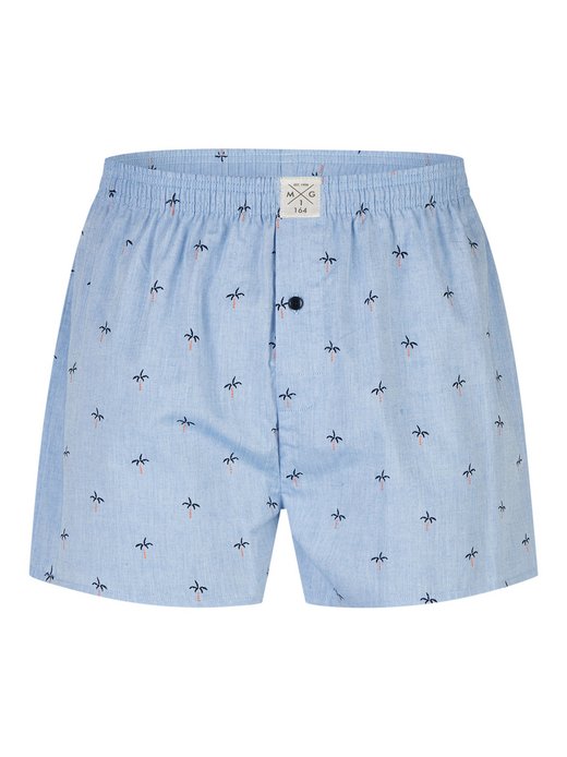 Jungen Boxer  -  Classics