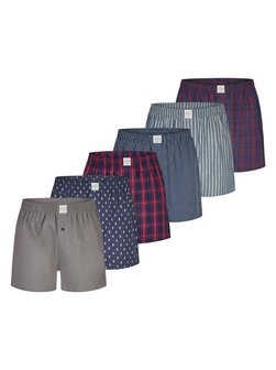 Jungen Boxer  -  Classics