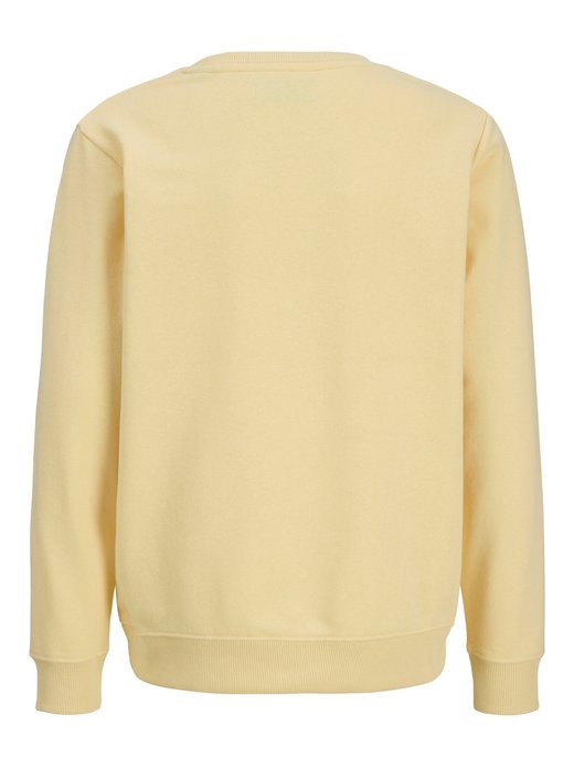 Jungen Pullover