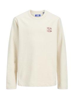 Jungen Pullover